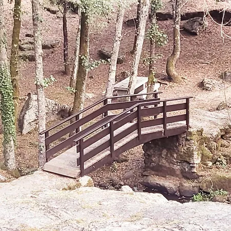 Buleiro Ourense